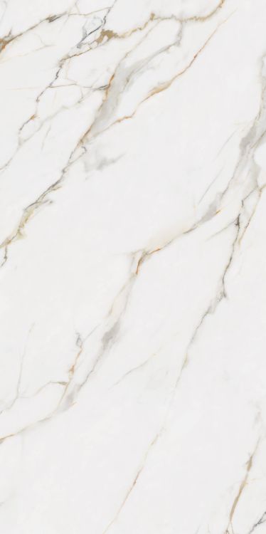 Time Dorado Matte 24 x 48